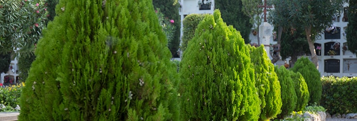 Sant Vicenç dels Horts