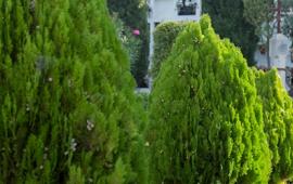 Sant Vicenç dels Horts